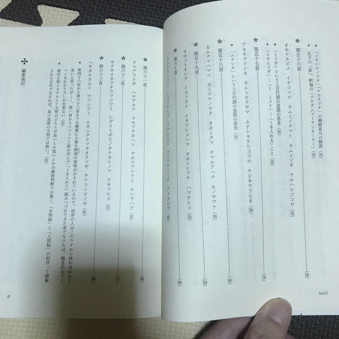 相似象学会誌　相似象　第１５号