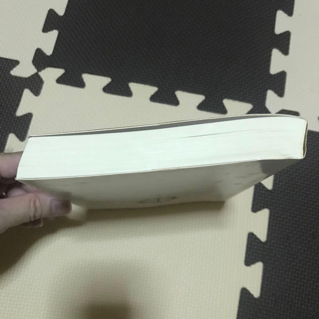 相似象学会誌　相似象　第１５号