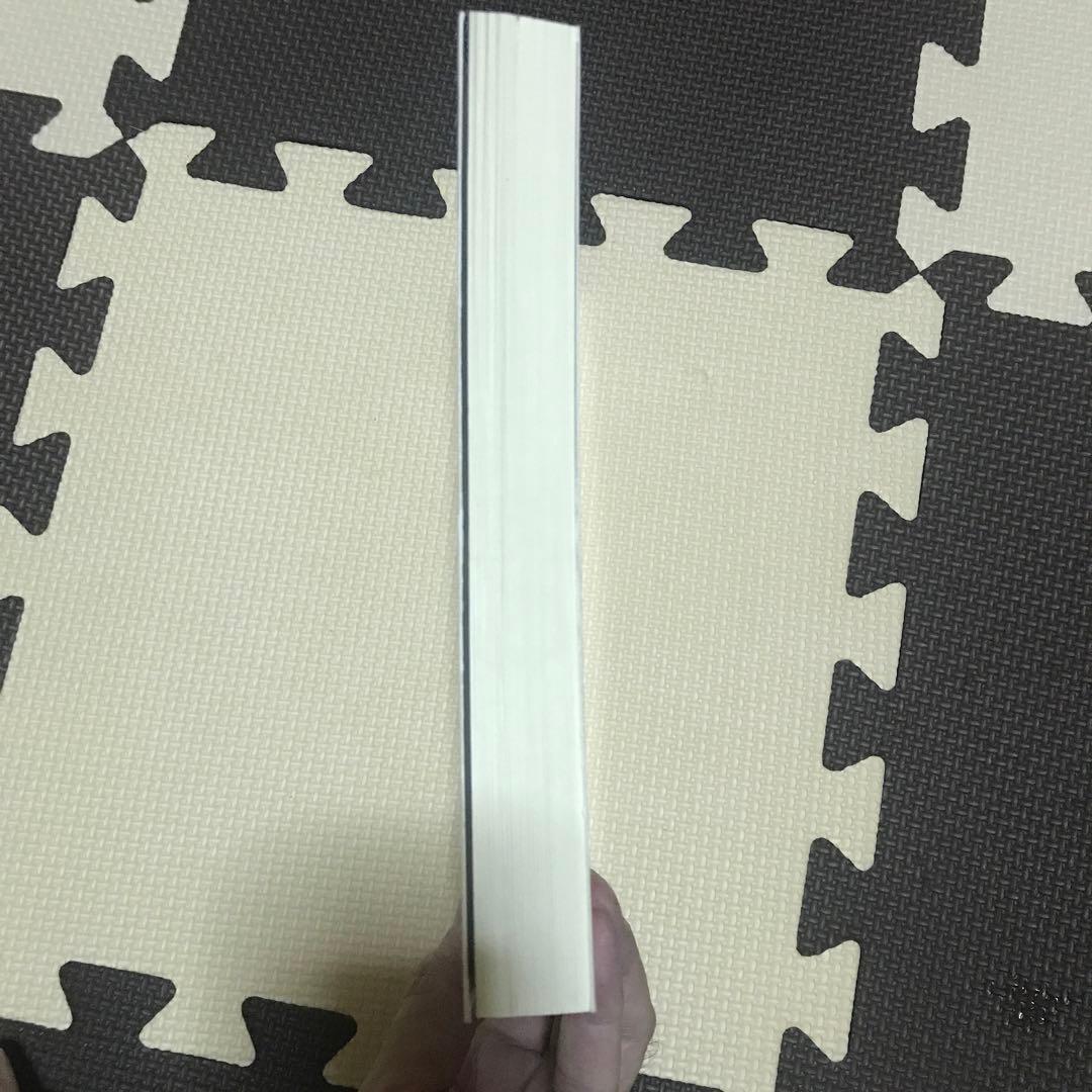 相似象学会誌　相似象　第１５号