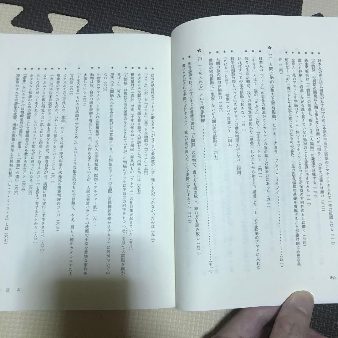 相似象学会誌　相似象　第１５号