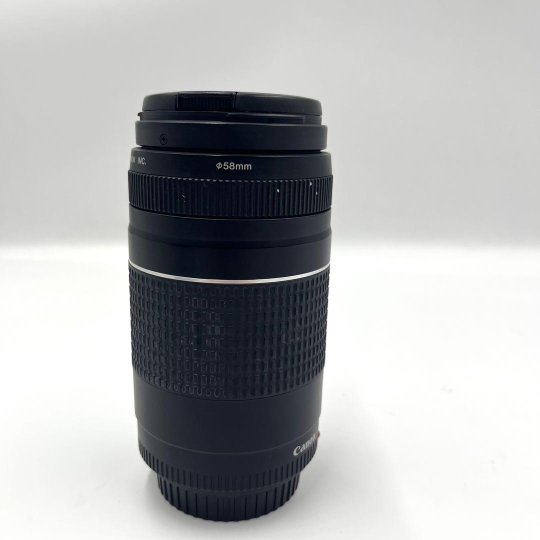 Canon EF 75-300mm 1:4-5.6 Ⅲ