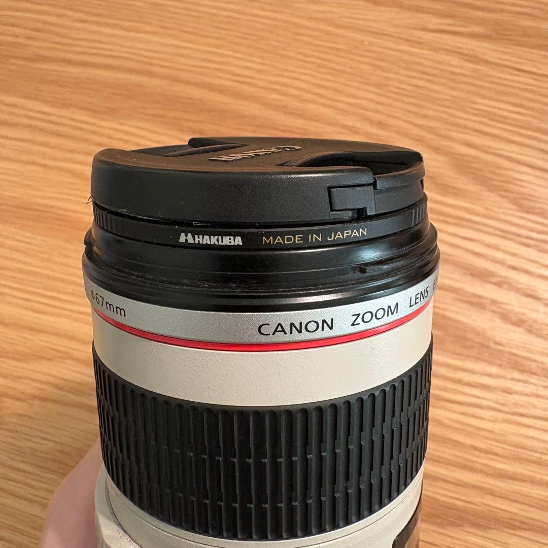レンズ(ズーム) Canon F70-200mm F4L IS USM