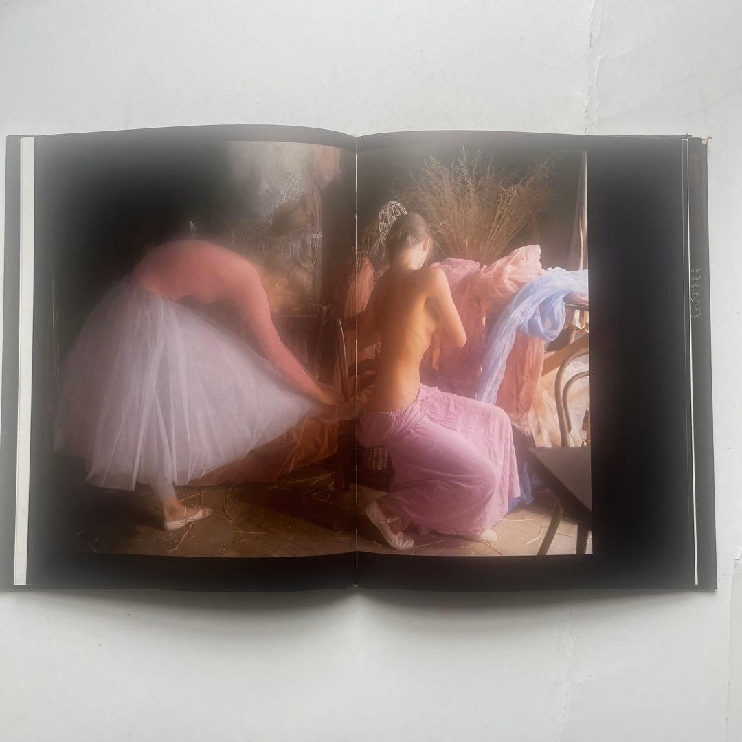 s*y様 希少、　デビットハミルトン写真集4冊組