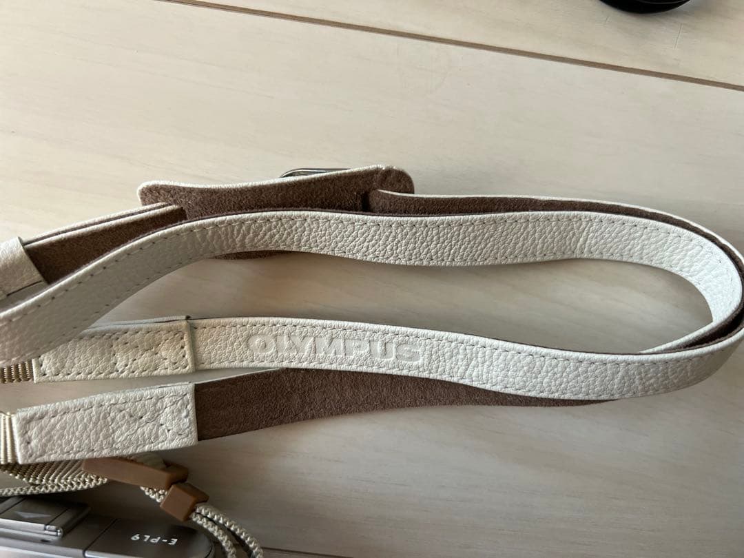 OLYMPUS PEN E-PL9 本体とレンズ2本　ストラップ付