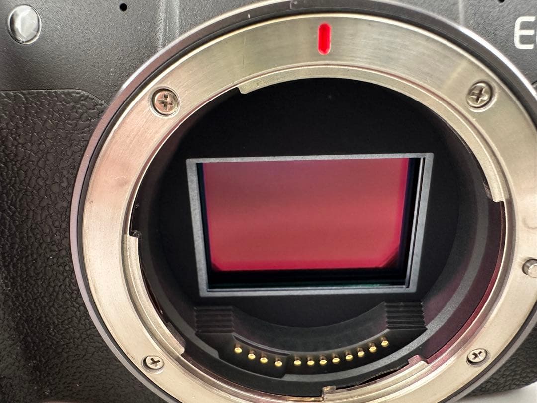 Canon EOS RP ボディ 純正バッテリー2個