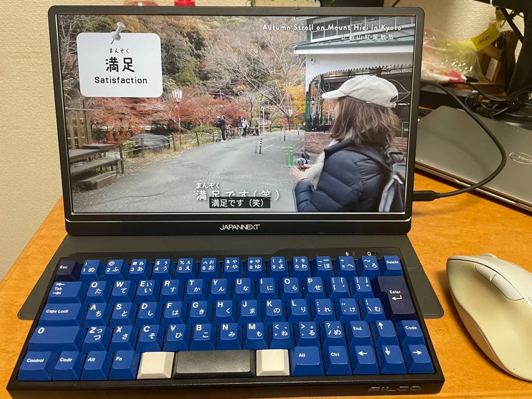 JAPANNEXT 15.6 モバイルディスプレイ