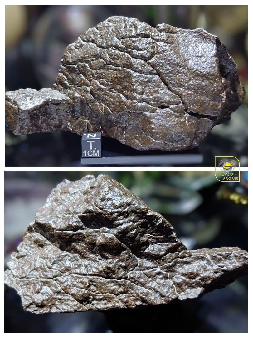 隕石　コンドライト L3 NWA XXX 991.5g ⭐⭐