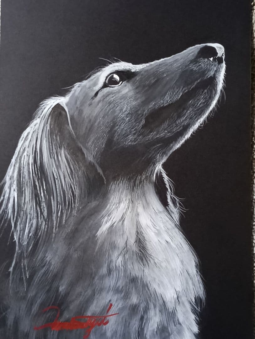 犬の鉛筆画 モノクロ サイン入り ウィペット犬 - 鉛筆画アートワークプリント - アーティスト Gary