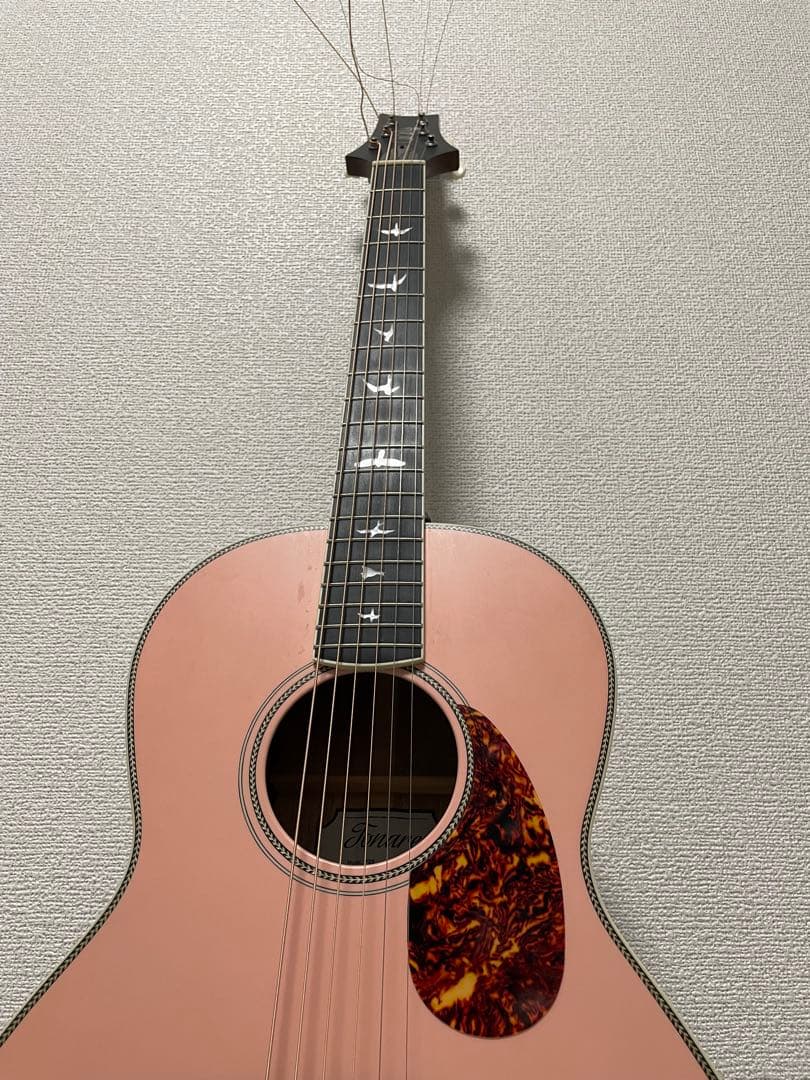 超美品！Paul Reed Smith SE Parlor Fishman - メルカリ