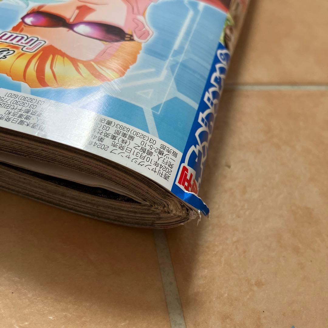 週刊ヤングジャンプNo.48 表紙 柏木由紀【特別付録】柏木由紀 8P小冊子