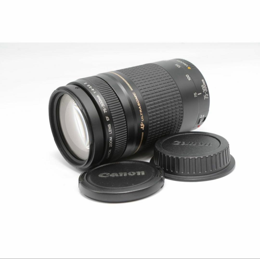 Canon 75-300mm ズームレンズ