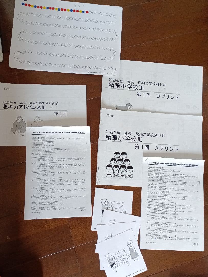 理英会2022 夏季志望校別ゼミ精華小学校+分野別単科講習フルセットお