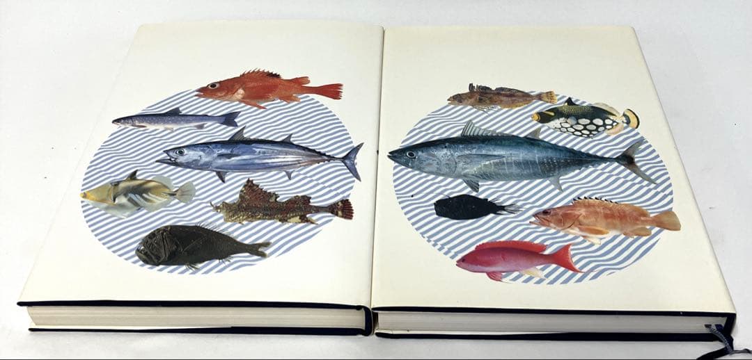 日本産魚類大図鑑 東海大学出版会か 出版 全2巻構成〈解説〉〈