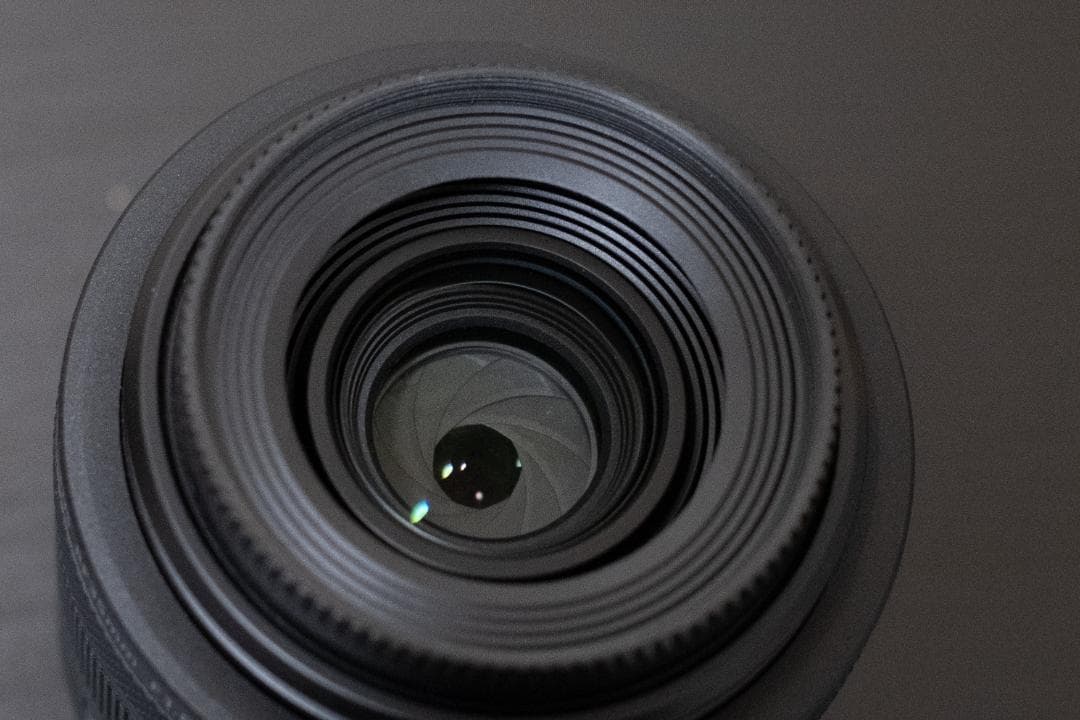 キヤノン Canon RF35mm F1.8 MACRO IS STM