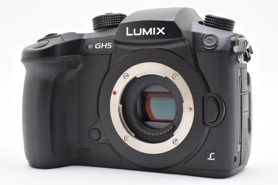 パナソニック Panasonic LUMIX RD-SPM049 (GH5)