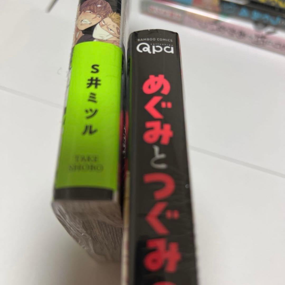 ＢＬ　３００３　めぐみとつぐみ①②③④、はやとちりは埒があかない？…S井ミツル