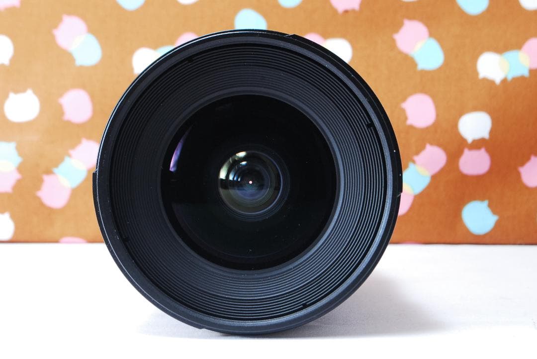 ✨新品同様✨Tokina SD 12-24mm F4 DXⅡ AT-X PRO