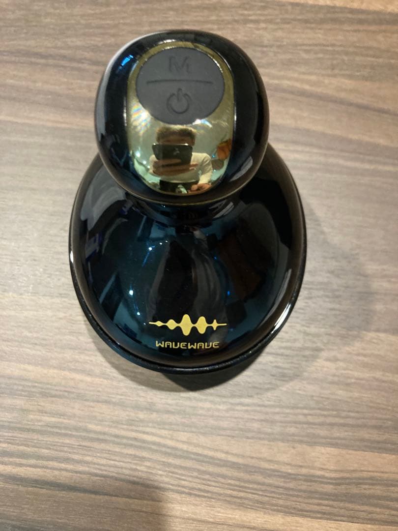 WAVEWAVE公式 電動 ヘッドスパ EMS 電気針 赤LED 振動電気ブラシ