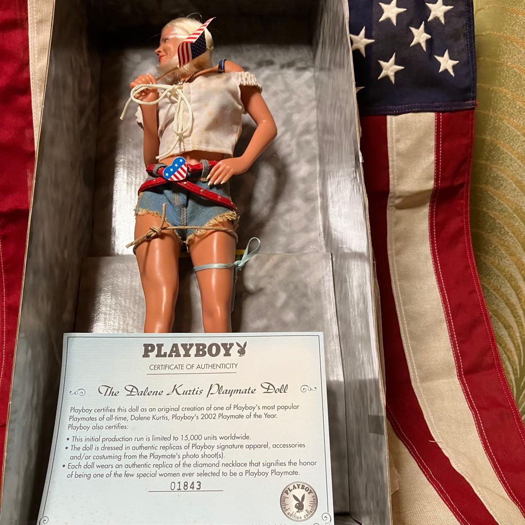 プレイボーイプレイメイト・オブ・ザ・イヤー 2002 ダリーン・カーティス