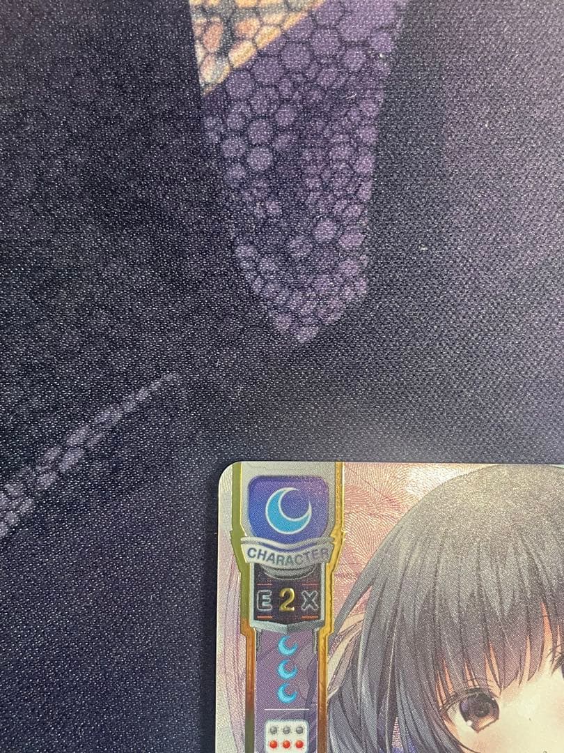 世界を見透す天才芸術家 本間心鈴 SSP LO-5659-X