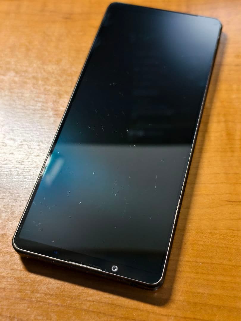 Xperia 1Ⅴ 512GB XQ-DQ44