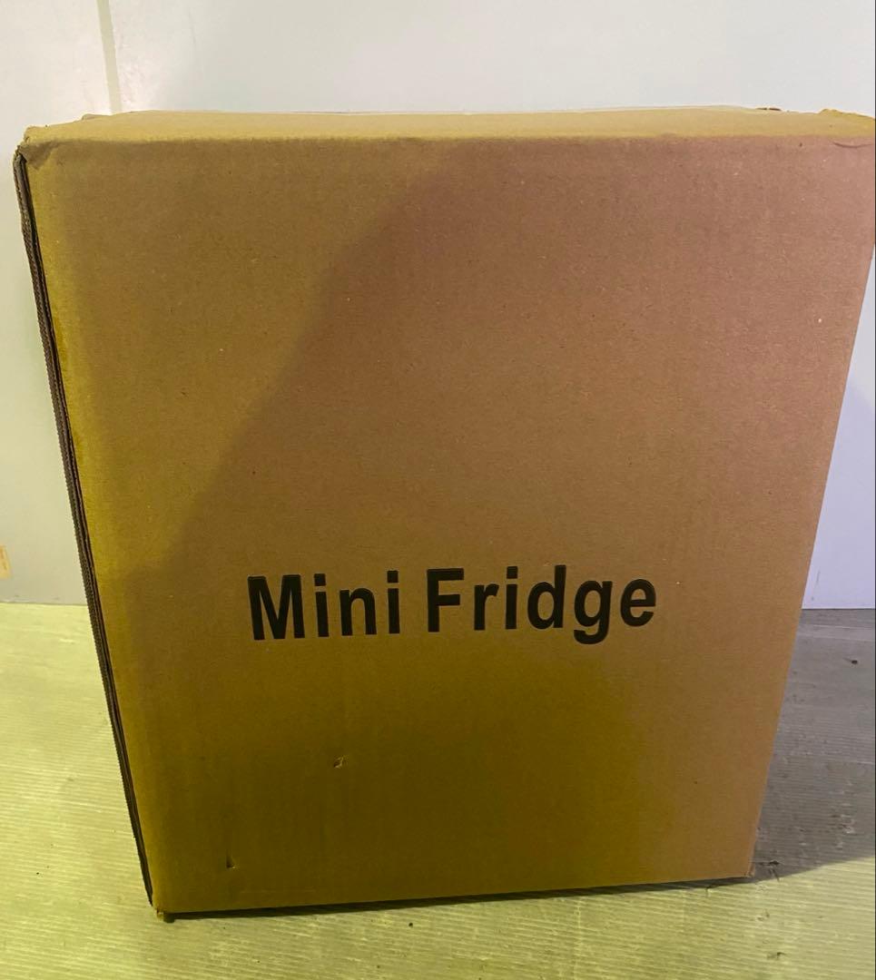 冷蔵庫 小型 10L ミニ冷蔵庫 2℃～60℃ 屋内車載両用