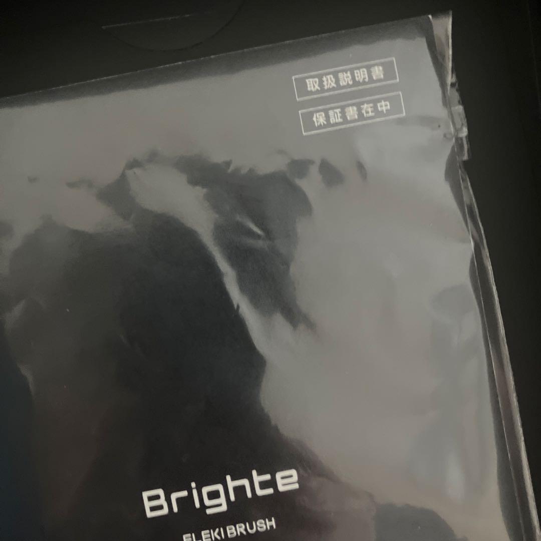 ブライト　エレキブラシ　美品