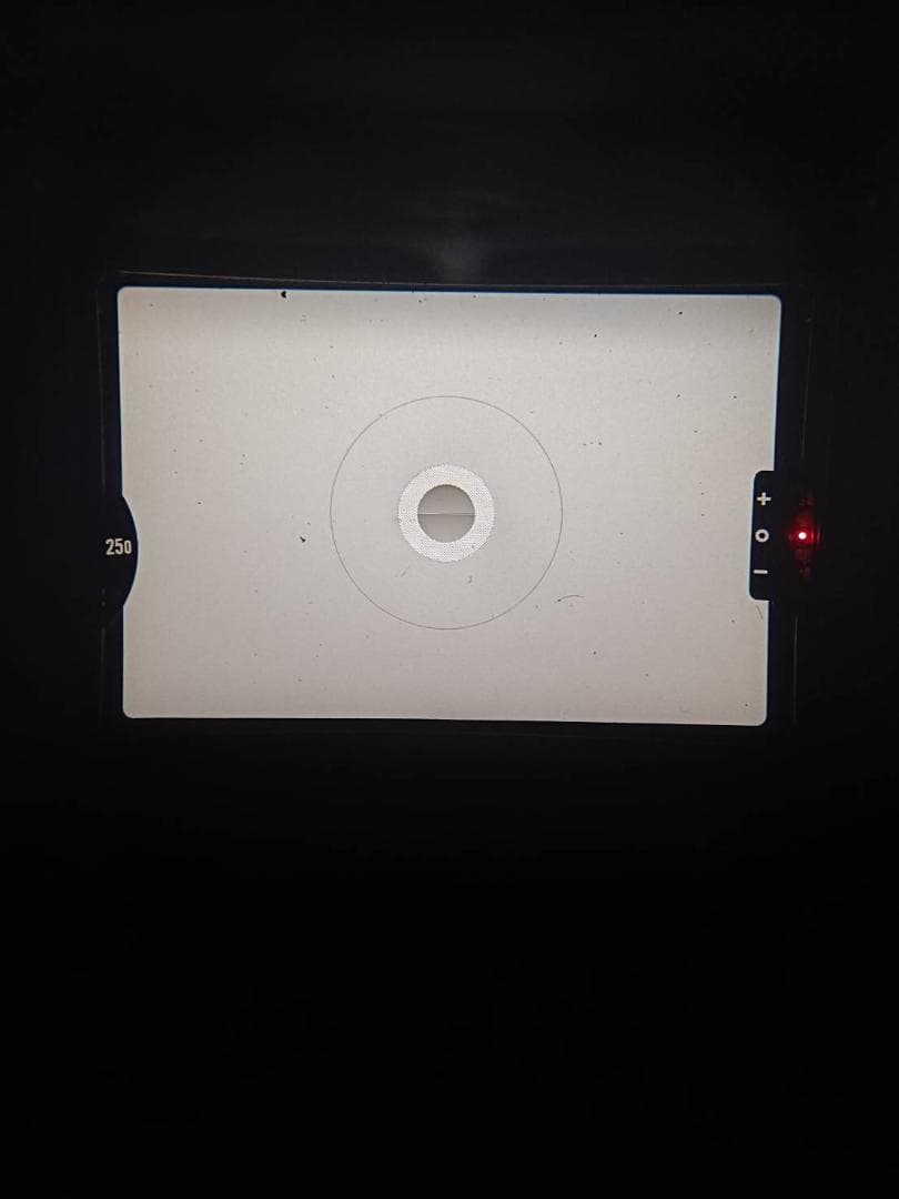 美品 NIKON FM シルバー フィルムカメラ モルト新品交換済 H025 - メルカリ