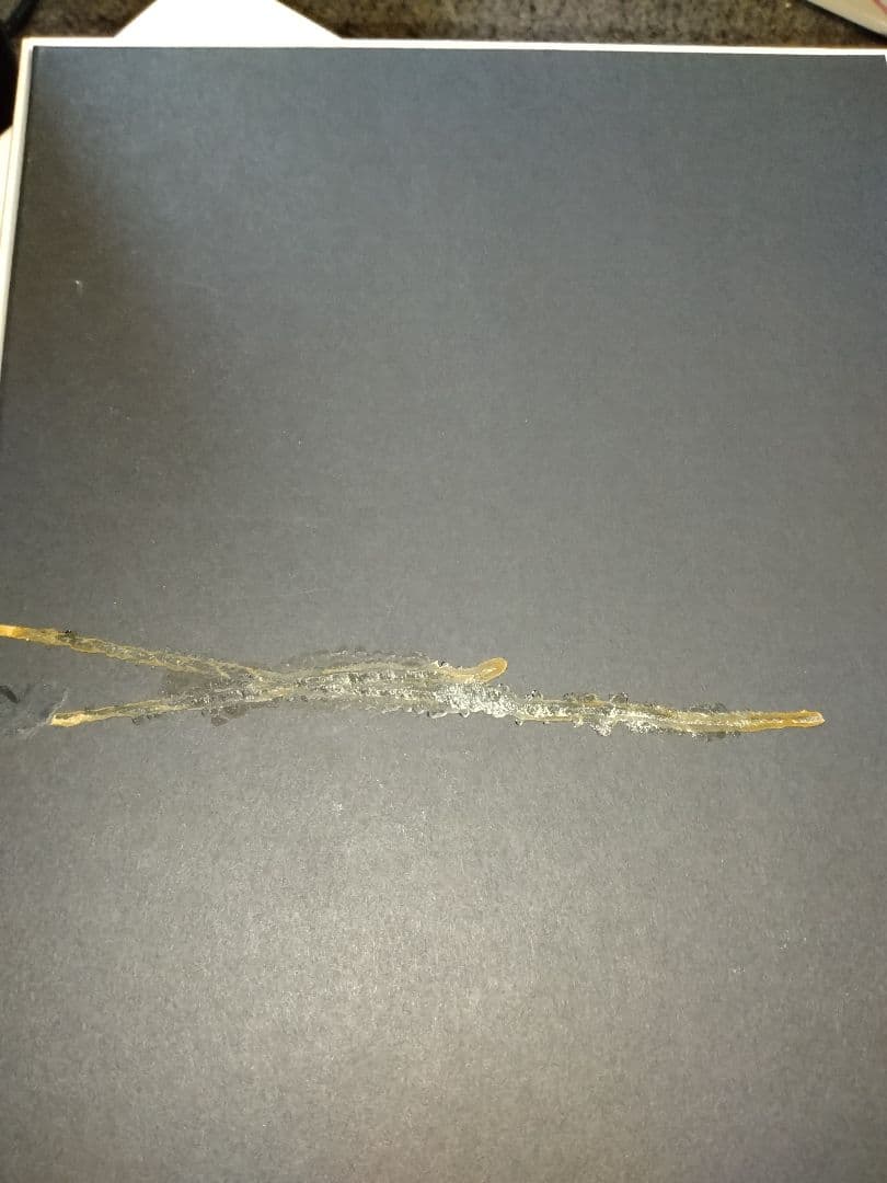 マリア様がみてるDVD コンプリートセット