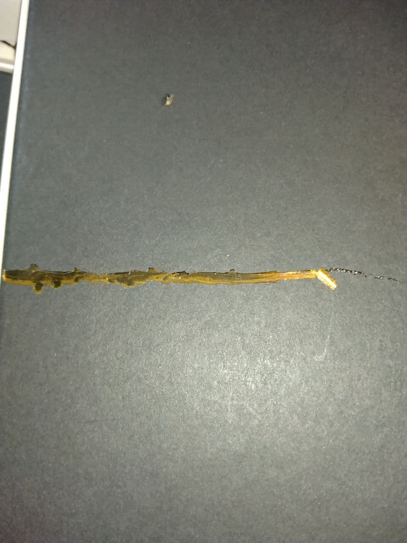 マリア様がみてるDVD コンプリートセット