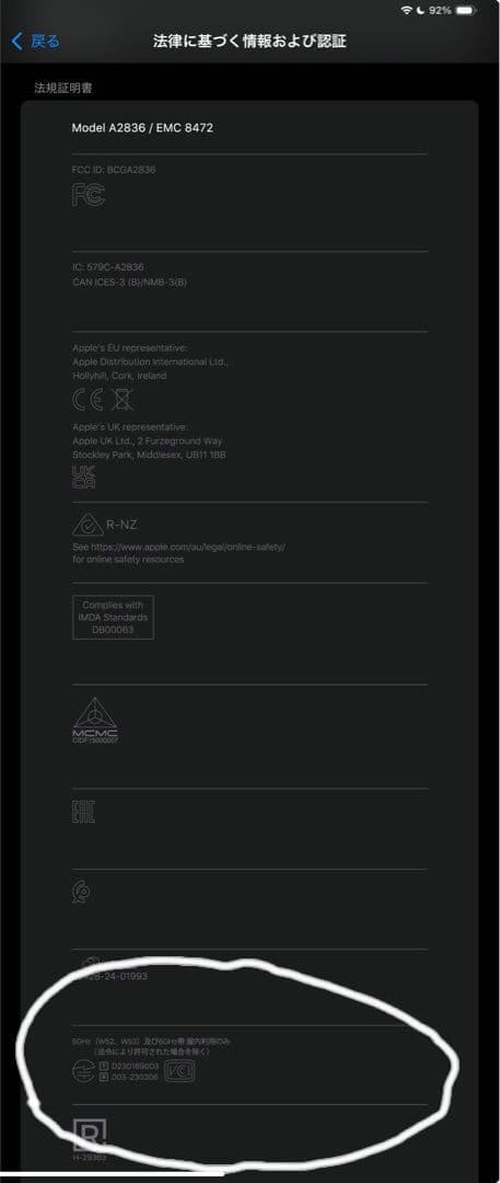 M4 iPad Pro 256GB Wifi バッテリー最大容量98％ Aランク