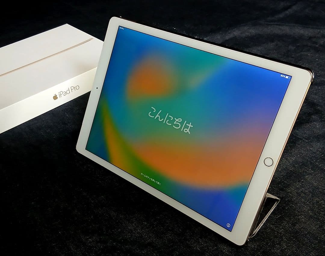 S*m様 iPad Pro12.9インチ 256GB wi-fiセルラー 要リペ 12.9インチiPad Pro Wi-Fi + Cellular 256GB - シルバー（第5世代