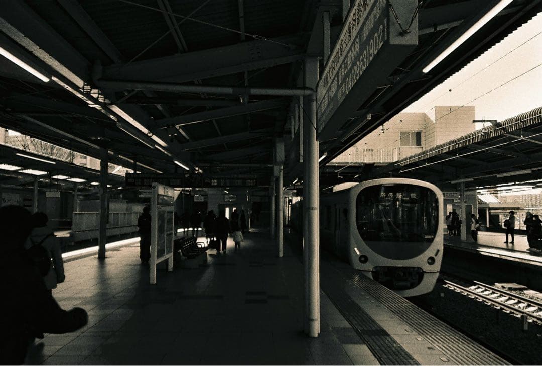 【作例あり】FUJIFILM NATURA CLASSICA ナチュラクラシカ