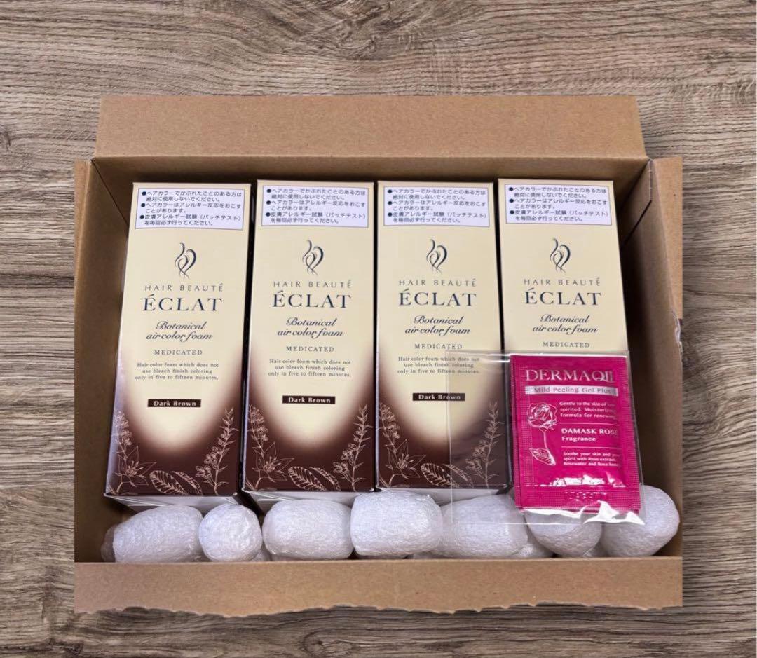 ポタニカルエアカラー フォーム EX ダークブラウン 4本 セット ポタニカルエアカラー フォーム EX ダークブラウン4本セット