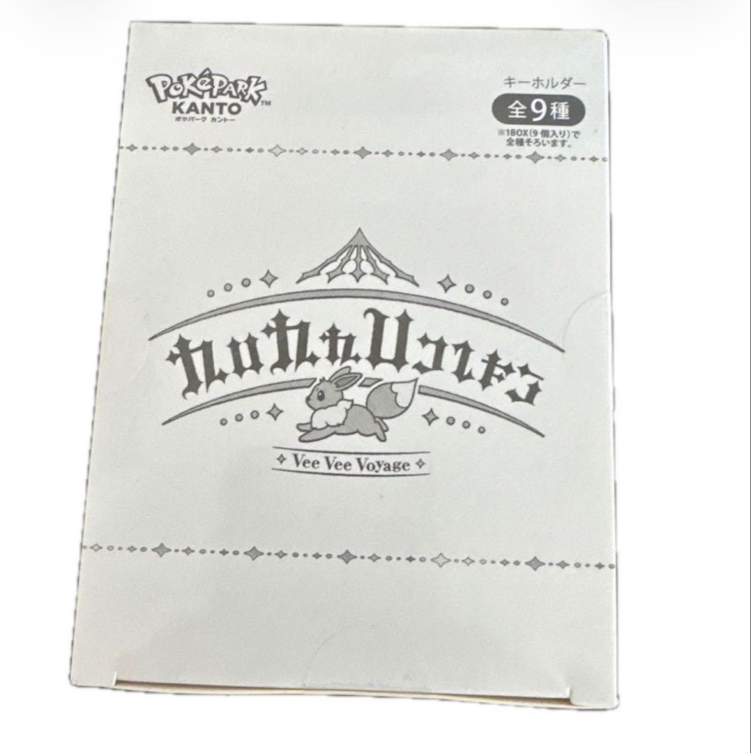 ポケパーク カントー 限定 ブイブイヴォヤージュ アクリルキーホルダー