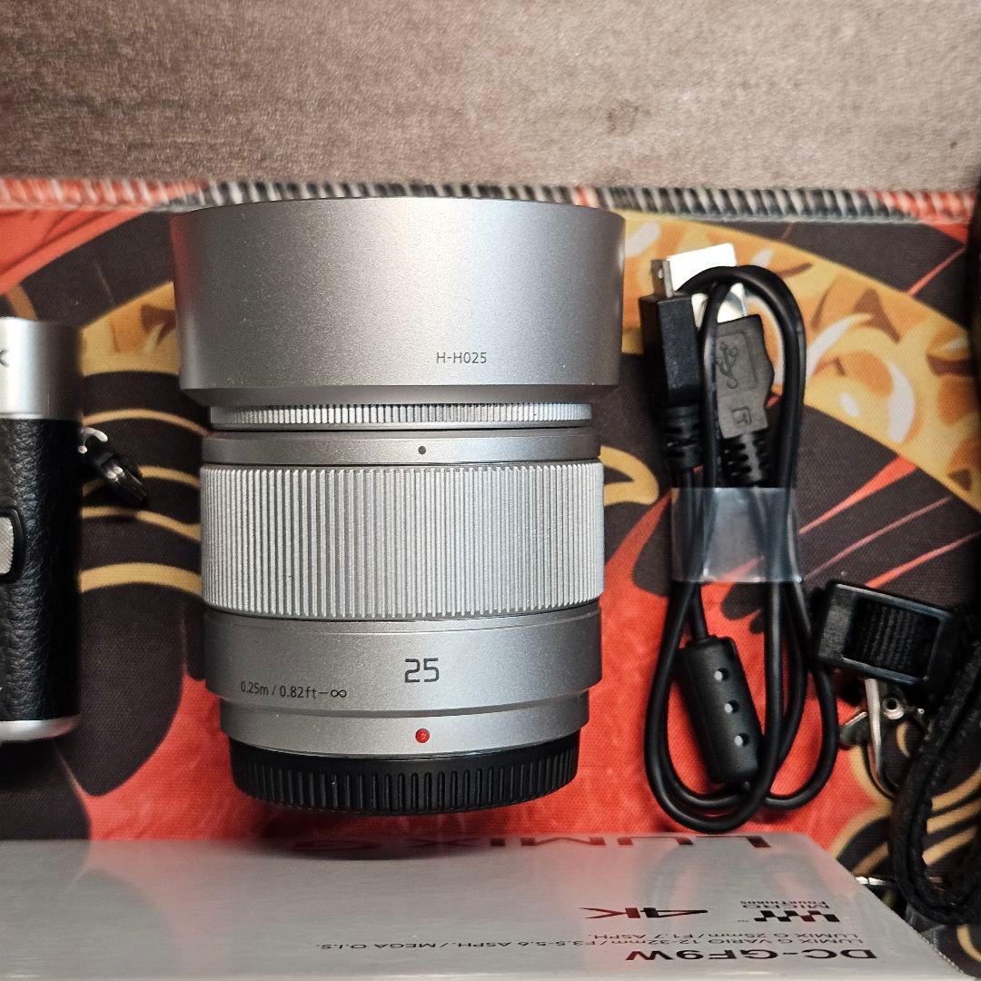 デジタルカメラ Panasonic Lumix GF9