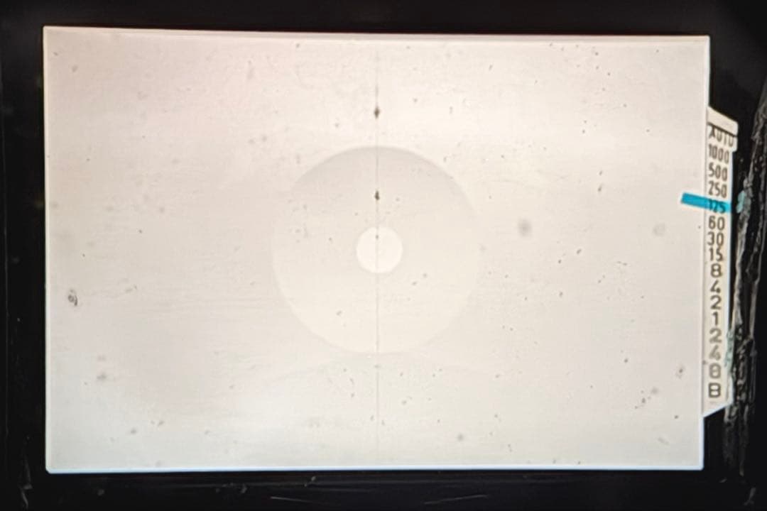 ペンタックス K2 ブラック SMC PENTAX-M 50mm F/1.7