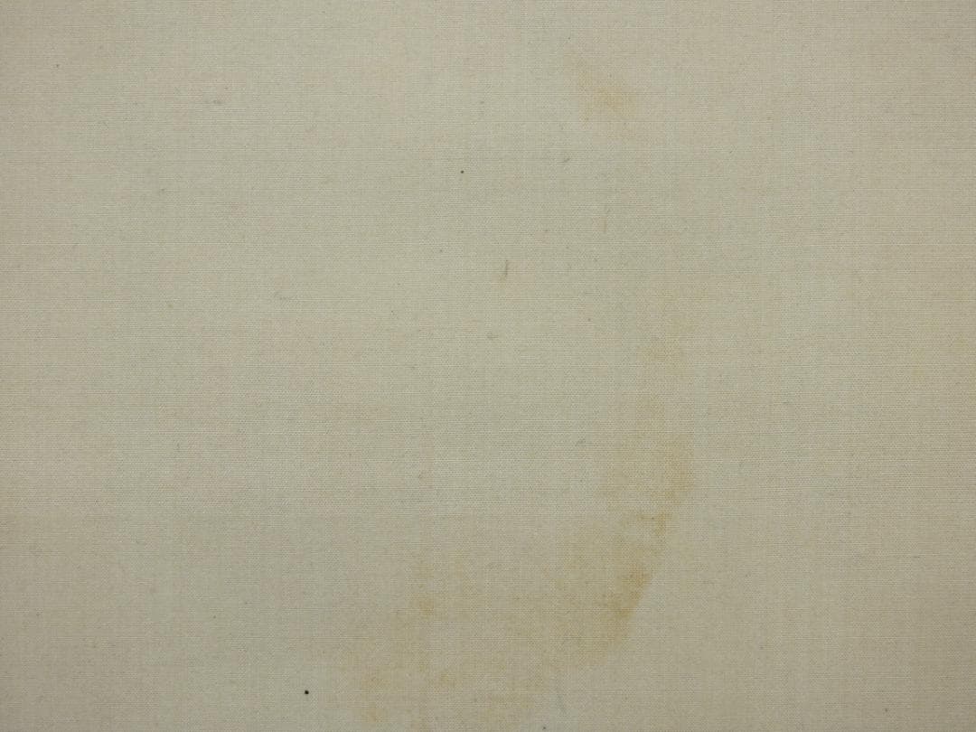 杉浦俊香 山水画 極め箱 MA922 - メルカリ