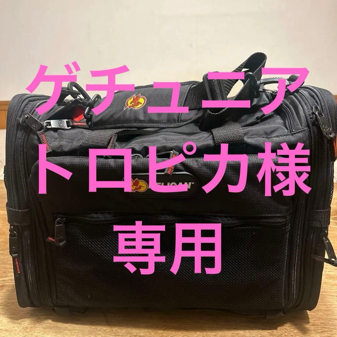 PELICANペリカン　PCS-155　カメラバッグ キャリーバッグ 01.jpg