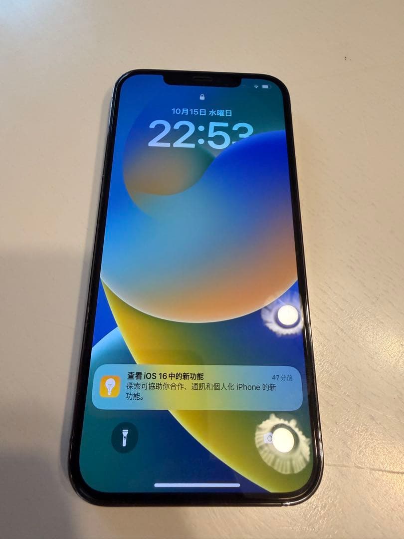 iPhone 12 Pro Max 256GB (Kanku様購入専用)