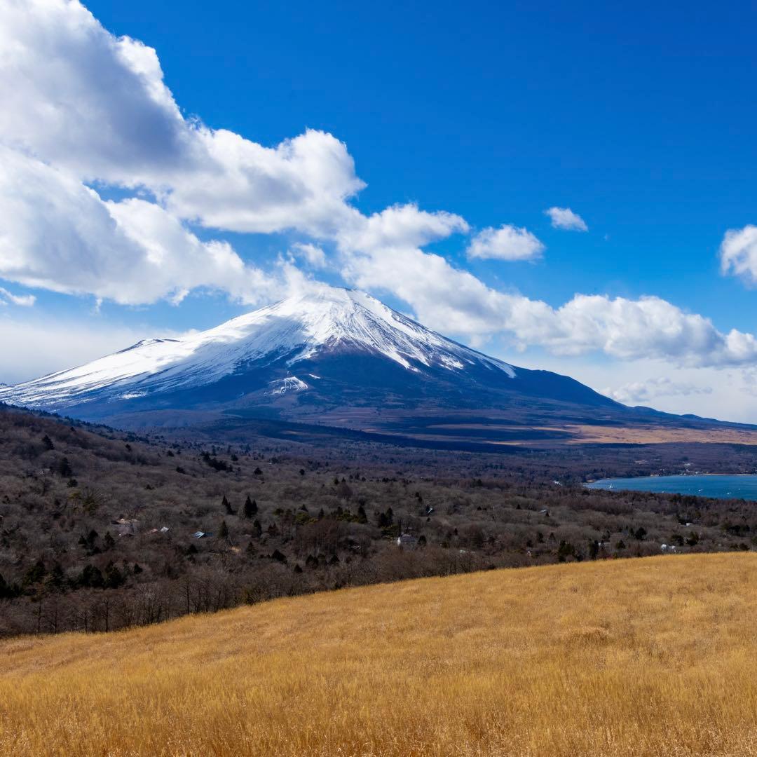 レンズ(ズーム) CANON EF-S 10-22mm F3.5-4.5 USM