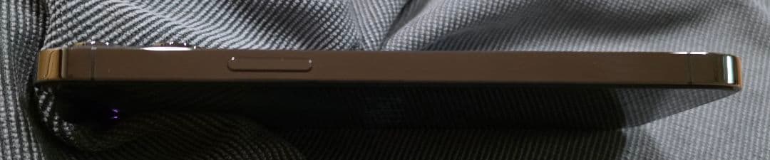 iPhone 12 Pro Max 256GB グラファイト おまけもあります!