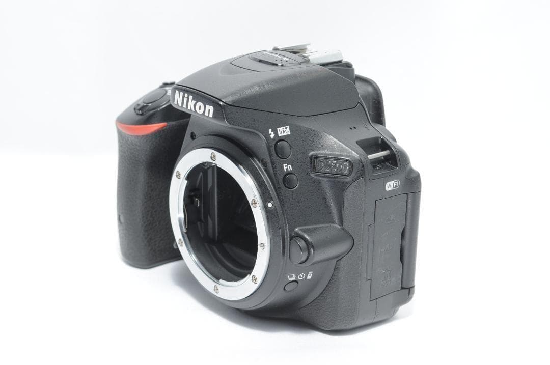 風景もお子様も綺麗に❗️Nikon D5500✨即使えてWi-Fiでスマホ転送