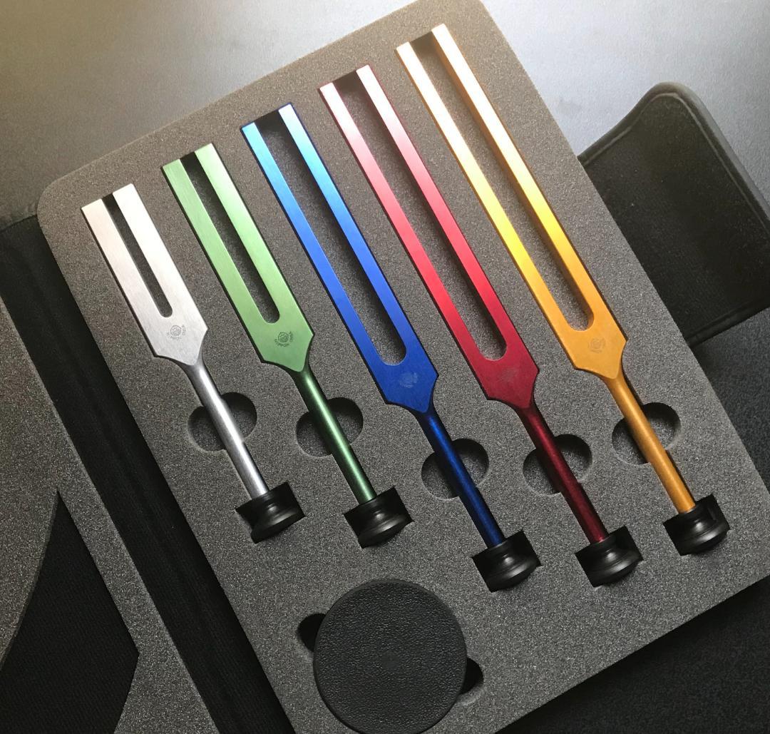 音叉 ニチオン 五行音叉 ブレインアップデート テキスト付 国産 新品未