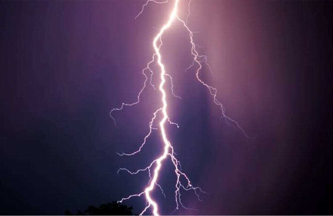 Alex ビューティ　レイヤー　美顔器　オゾン　プラズマ