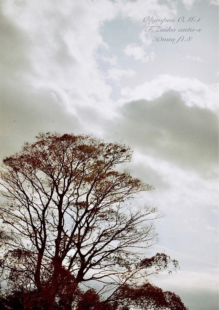 完動品＊美品＊初期保証！★オリンパスOM-1★リザード本革外装★フィルム入門に！