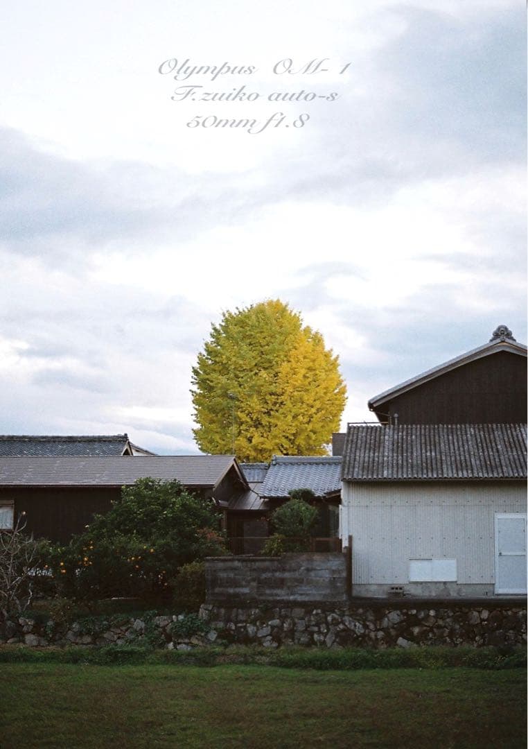 完動品＊美品＊初期保証！★オリンパスOM-1★リザード本革外装★フィルム入門に！