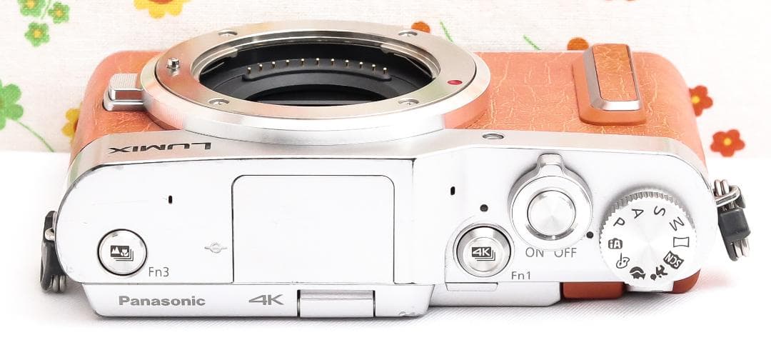 パナソニック Panasonic LUMIX GF10 ☆オレンジ☆ミラーレス