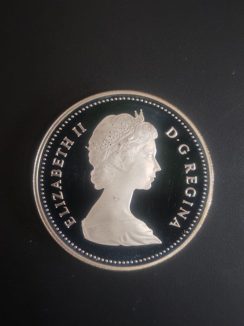 1984年　加 トロント150周年記念　1ドルプルーフ銀貨 外国銭】 カナダ トロント150周年 1ドルプルーフ銀貨 1984年 （未使用