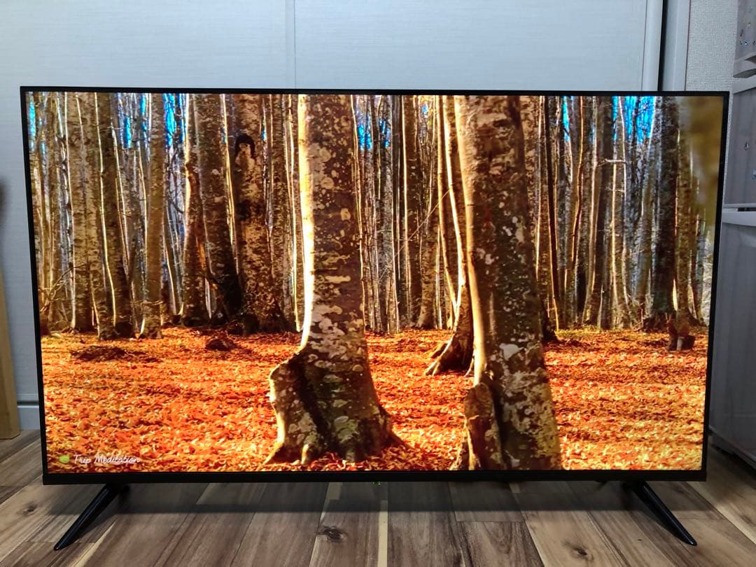 2022年製！50V型 4Kチューナーレステレビ Android TV HDR○